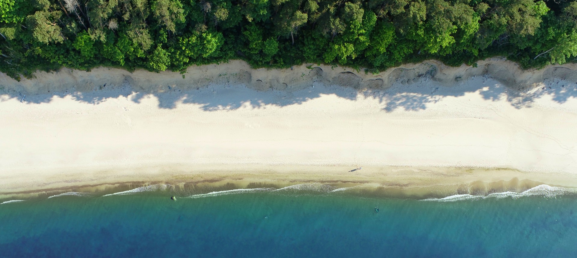 zdjęcie plaża z lasem